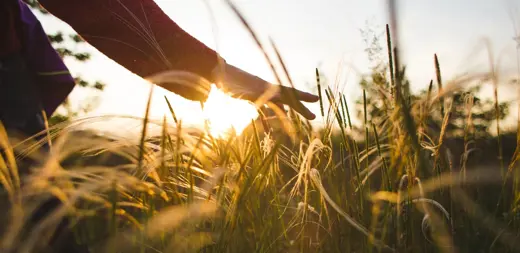 Apex Group closes acquisition of MJ Hudson businesses units