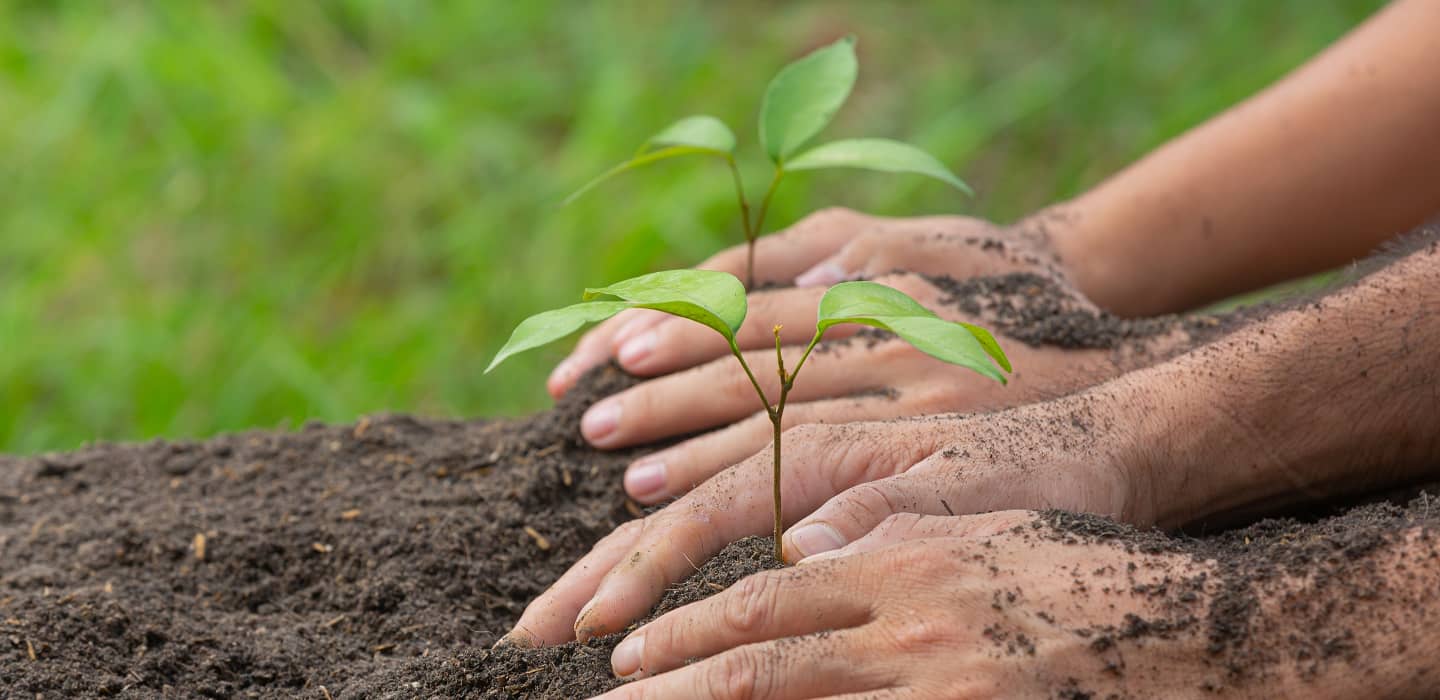 Our Partnership with Eden Reforestation Projects